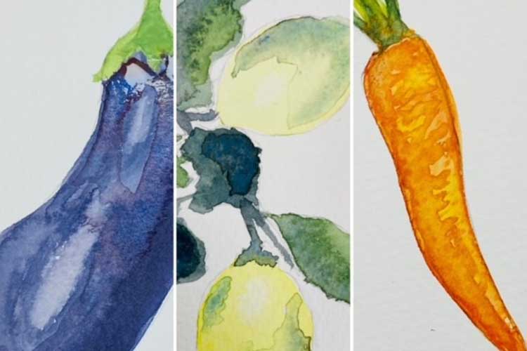 

  
      Examples of watercolour paintings including an aubergine and a carrot
  
